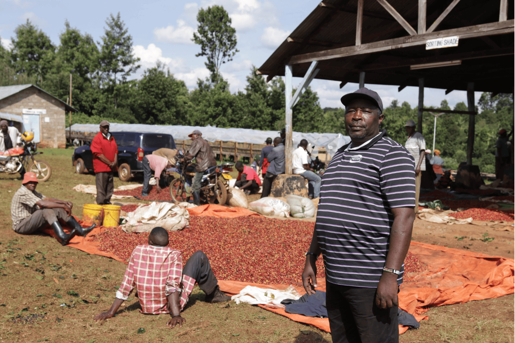 AA Rung’eto Karimikui #008