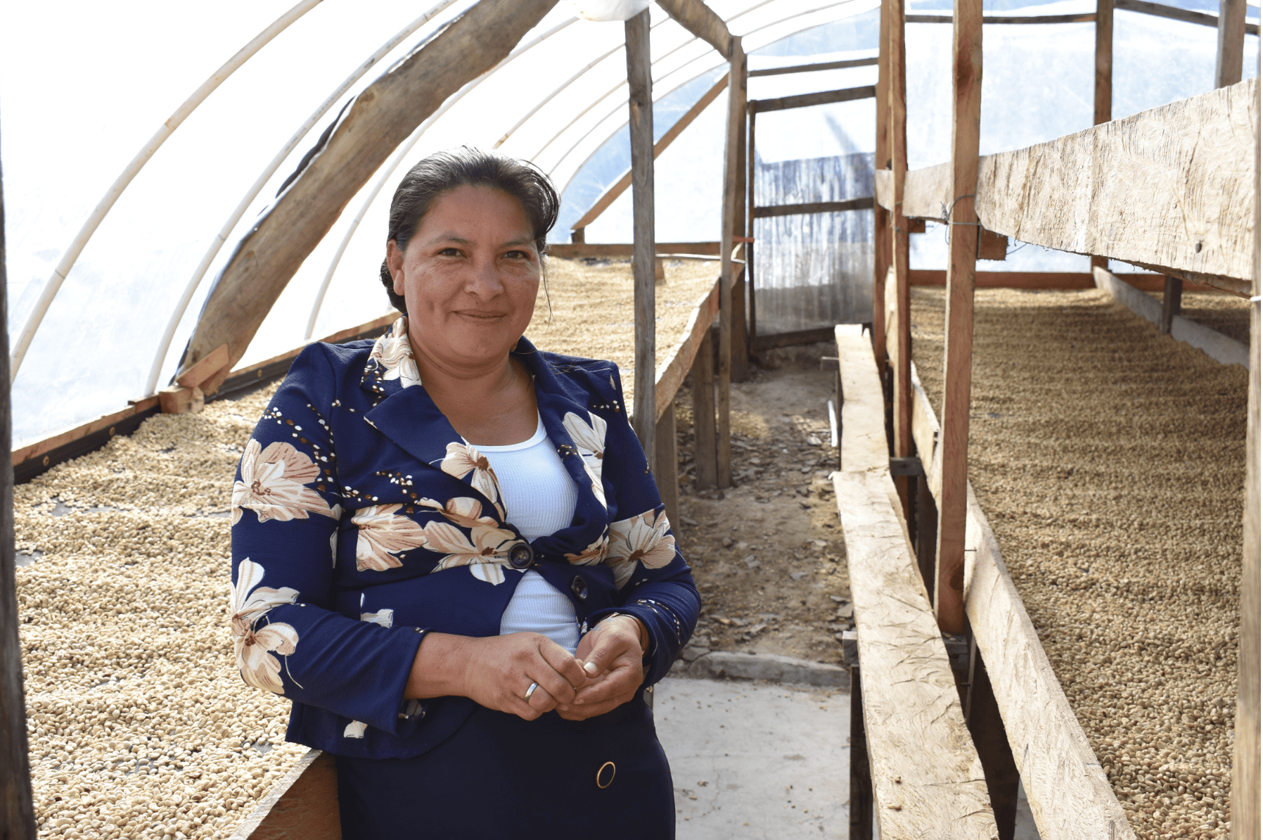 Las Manzanas by Dely Suyapa Matute