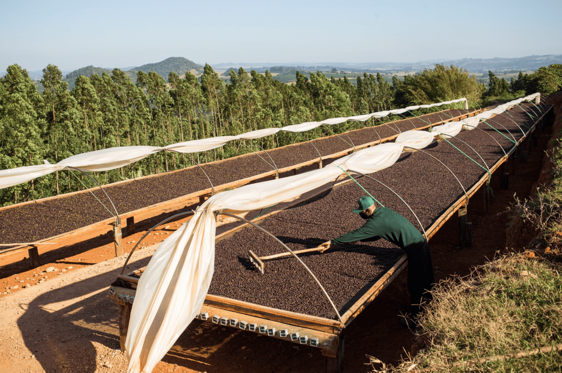 Aurora Collective #1