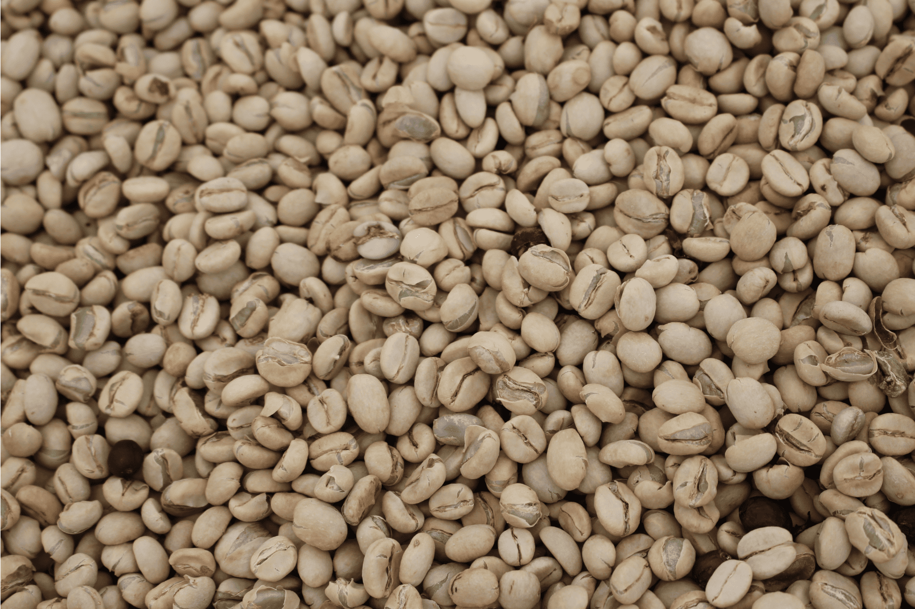 AA Inoi Kianderi #035