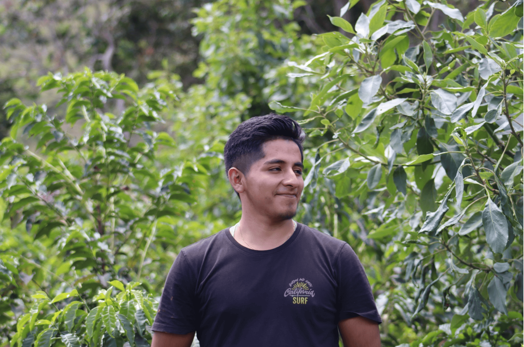 Familia Tocto Organic